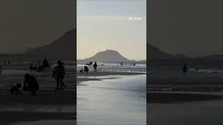 Papamoa 🏝️ Beach #viral #status #trending #adventure #fun #trip #newzealand #short #family #beach