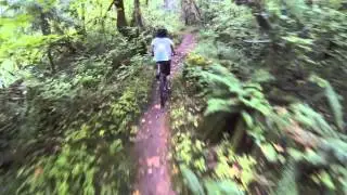 Middle Fork Trail Willamette Wilderness Area