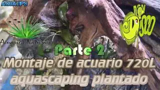 Montaje 720L aquascaping, Acuarios Naturales en Don Disco #4 || AquaTips