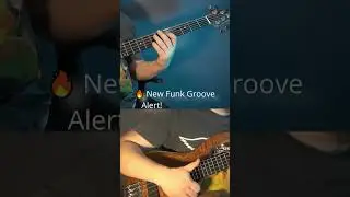 Short lick. Big attitude. 💥 #Basslove #SlapBass #BassTechnique #GrooveMachine