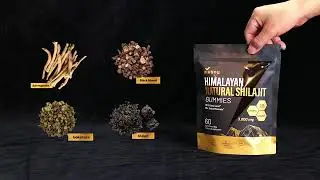 Vivonu Pure Himalayan Shilajit Gummies