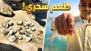 صيد السمك #اكتشاف انواع طعوم جديده #شوف #وقولنا ايه رايك #fishing #