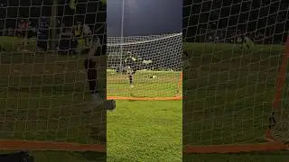 If Zlatan Was A Goalie⚽️🥋 #tkdf&uacute;tbol #goalie #alhambraphoenixfc #shorts