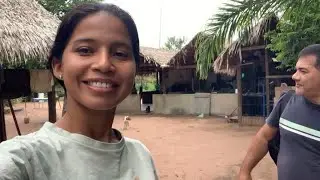 DIA A DIA NA MINHA COMUNIDADE/ CONHEÇA ONDE EU MORO/ VIDA NA AMAZÔNIA/ INTERIOR DO PARÁ 