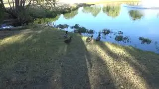 Tulsa Parks 10 31 2022 26