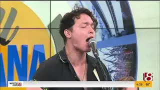 All Indiana Artists: Animal Sun