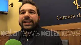 Giornalista di Report: 