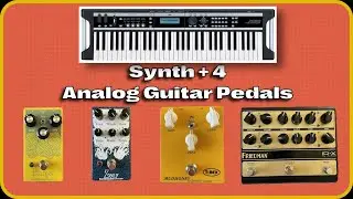 Analog Magic: Korg X50 Lead Sound meets 4 Pedals for Real Analog Warmth!