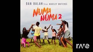 Dan Balan - Numa Numa 2 (feat. Marley Waters) & NCS - Twerk (Instrumental) [Mashup RaveDJ]