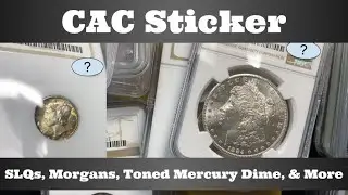 Результаты проверки на наличие наклейки CAC Open Box &mdash; SLQ, доллары Моргана, тонированные монеты Mercury Dime и многое другое