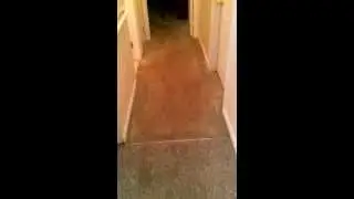 New York Long Island carpet cleaning by Beyond Maids inc. before cleaning (smithtown)