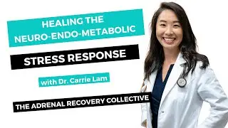 How To Heal The NeuroEndoMetabolic (NEM) Stress Response with Dr. Carrie Lam