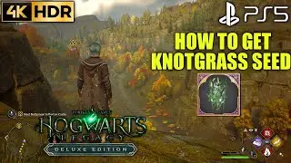 How to Get Knotgrass Seed HOGWARTS LEGACY Knotgrass Seed Location | Hogwarts Legacy Knotgrass Seed