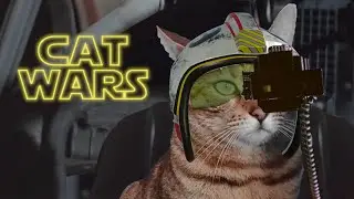 Cat Wars - a Star Wars parody