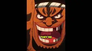 Blackbeard crew reveals Man with Burn Scar has Road Poneglyph 💀😭 | One Piece Ep.1115 #shorts #anime