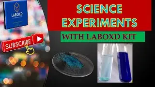 IDENTIFICATION OF CUPRIC (COPPER[II]) ION using sodium hydroxide and ammonium hydroxide