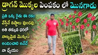 Best Dragon Fruit Variety in India By Subhash Reddy From Arjun Exotics Jagtial | N5 Media