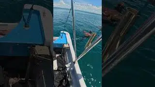 Action-packed spearfishing&mdash;Cubera, Mutton, Pompano!