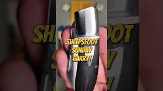 Sheepsfoot Sunday! Premium & Budget EDC knives! #fyp #shorts #youtubeshorts