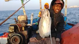30 October 2025 back to back #fishing cutter fish#