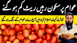 International Tomatoes Market Islamabad Update | 2 September 2025 | Sabzi Mandi Islamabad Today 