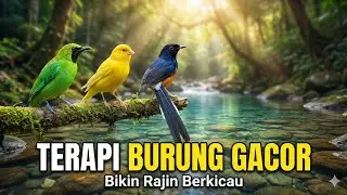Suara Air Relaksasi | Burung Rajin Bunyi, Pikiran Ikut Tenang