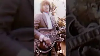 New Bee Gees Videos #shorts
