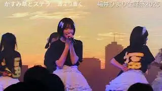 かすみ草とステラ　夏のシオリ　→　青より青く　      @福井ひより生誕祭2025 