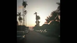NRMNT - Rua dos Hibiscos
