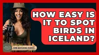 How Easy Is It To Spot Birds In Iceland? - Bird Watching Diaries