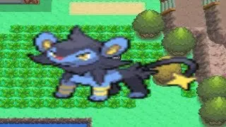 How to find Luxio in Pokemon Diamond and Pearl