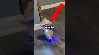 Where Do Labubus Come From?!🫣​🫣​