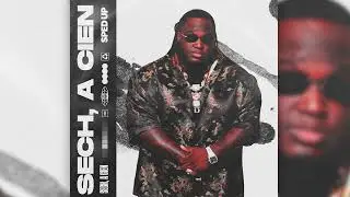 Foto En Panty (Sped Up) - Sech (Audio Oficial)