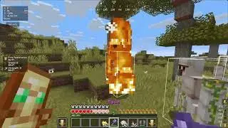 Elytra Mace Training