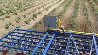 Strigliatore di precisione Treffler