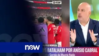 &laquo;An&iacute;sio Cabral faz 18 anos no domingo e o acordado &eacute; que um contraro at&eacute; 2031 com o Benfica&raquo;