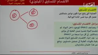 علوم | الصف الأول الأعدادي | تكاثر المخلوقات الحية