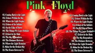 🌌 David Gilmour Greatest Hits | Pink Floyd Blues Rock Collection