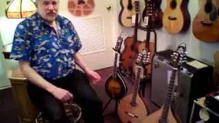 Mandolin Brothers Ltd: The place of the mandola in the mandolin family