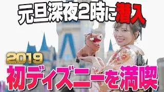 【元旦の深夜営業に潜入】2019年初パークをディズニーランドでまったり過ごしてみた