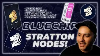 Bluechip Nodes  - The Premium NFT | Stratton Nodes #DeFi #crypto #NFT #passiveincome #prelaunch #BWD