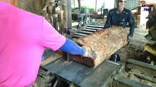 KAYU DURIAN KAMPUNG.