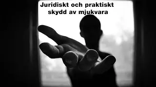 Juridiskt och praktiskt skydd av mjukvara
