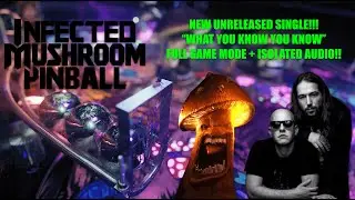 NEW UNRELEASED SINGLE - WHAT YOU KNOW YOU KNOW | Infected Mushroom Pinball Gameplay + Isolated Audio