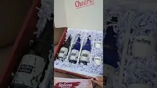 SipScout Craft Sak&eacute; Box