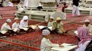 Pelupusan Quran   Fullscreen