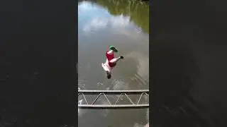 CRAZY FLIP OFF BRIDGE #shortsclip #shorts #short&nbsp; #youtube #youtuber #subscribe #flips #viral