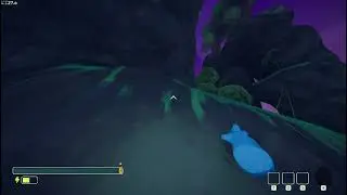 we love shelf fungi