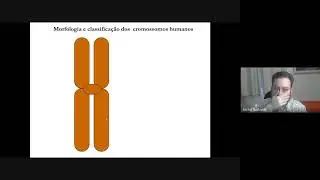 6 - Introdução à citogenética clínica (BIO0119 - Aula 6)