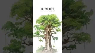 peepal tree 🎄 can't release oxygen 24 hrs #shorts #facts #science #mythbusted #commonmyth #plants